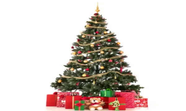 Bagging a Christmas bargain abroad?