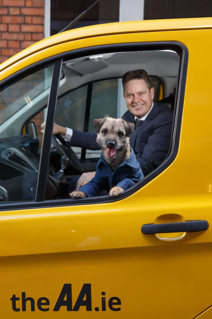 1 in 4 Motorists Admit to Driving Without Restraints for Pets