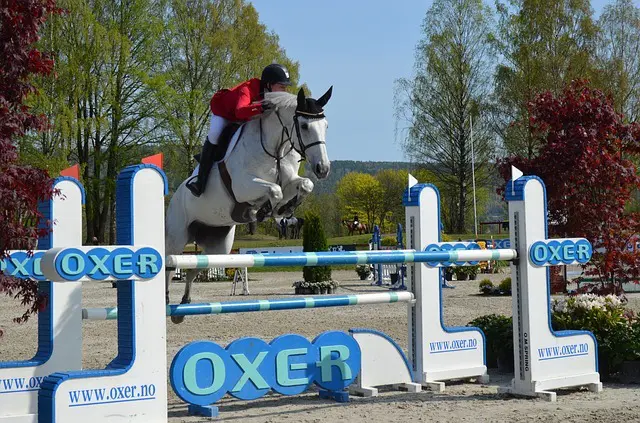 What to expect at the Dublin Horse Show