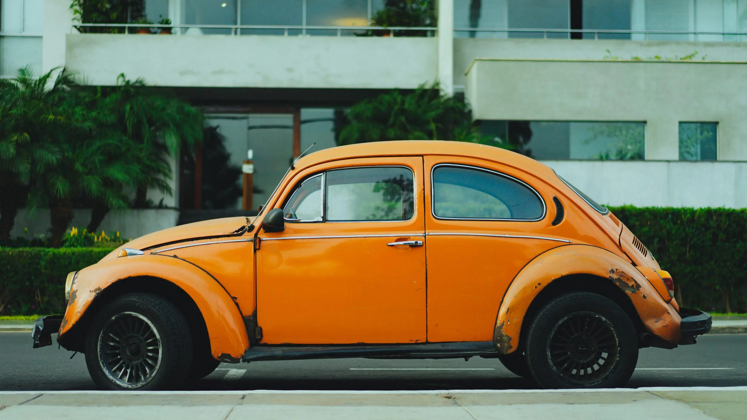 Photo by Dan Gold on Unsplash