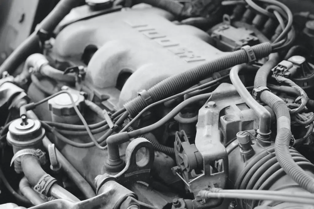 Protecting your vehicle from rodent damage – AA Ireland