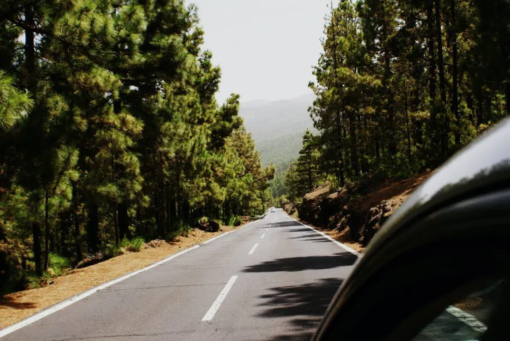 Driving Towards a Greener Future: Our Sustainable Strides