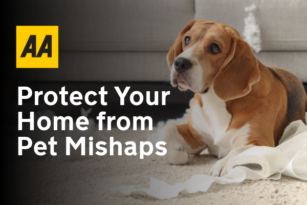 When Pets Misbehave: Protecting Your Home from Furry Damage