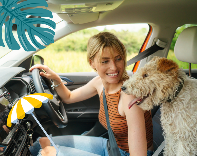 Girl driving a insured car, car insurance in ireland, cheap car insurance, insurance for car
