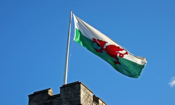 Wales v Ireland: While You're There