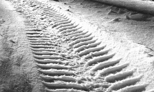 Essential Winter Car Care