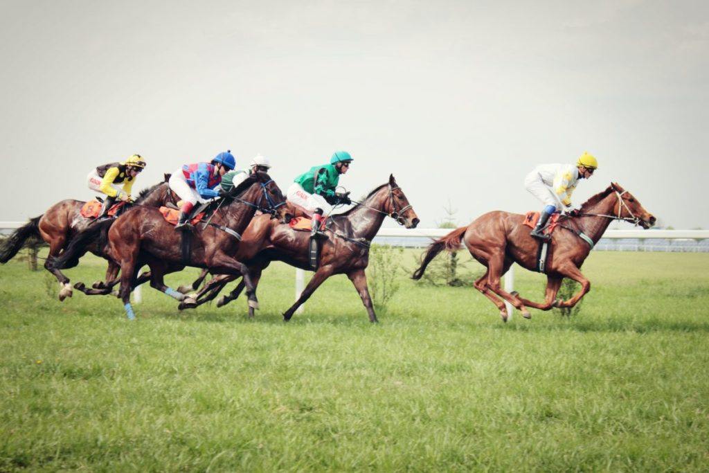 Galway Races 2019: what do I need to know?
