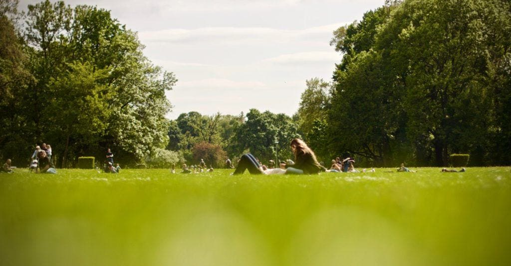 Ireland's Perfect Picnic Spots that are AA-O.K!