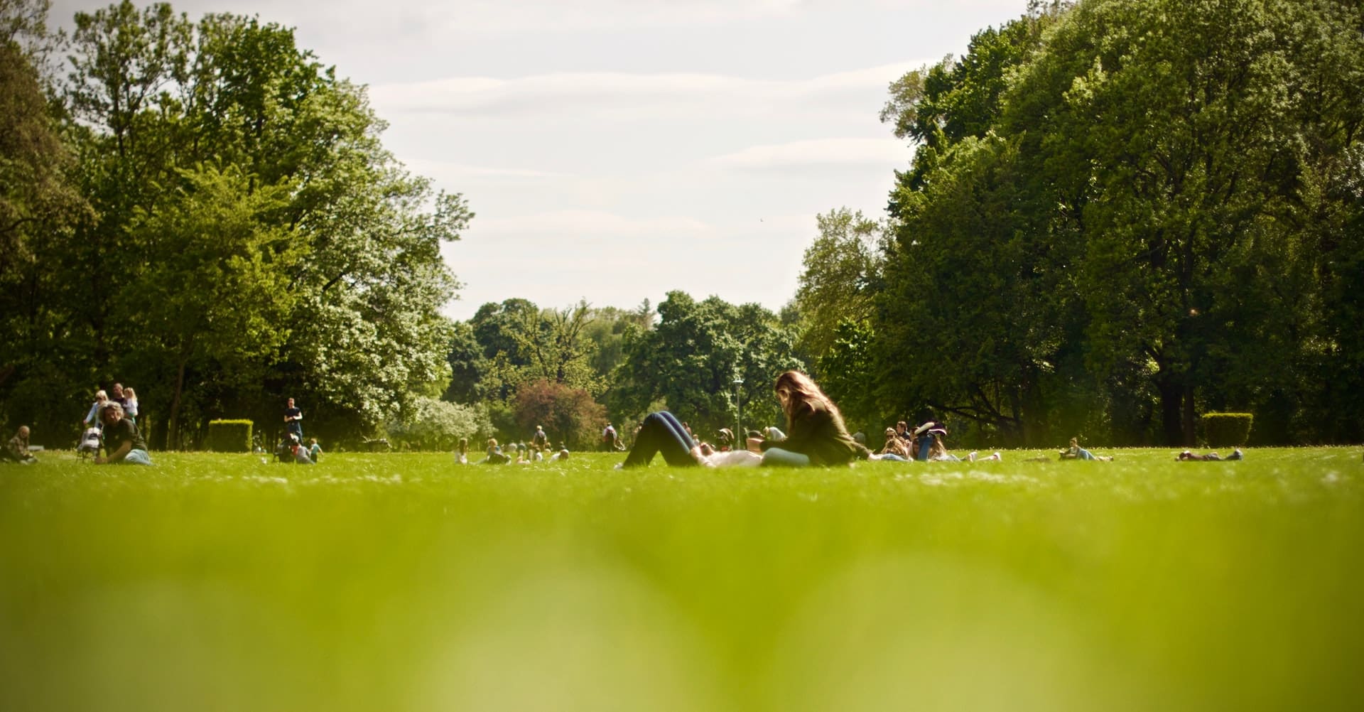 Ireland's Perfect Picnic Spots that are AA-O.K!