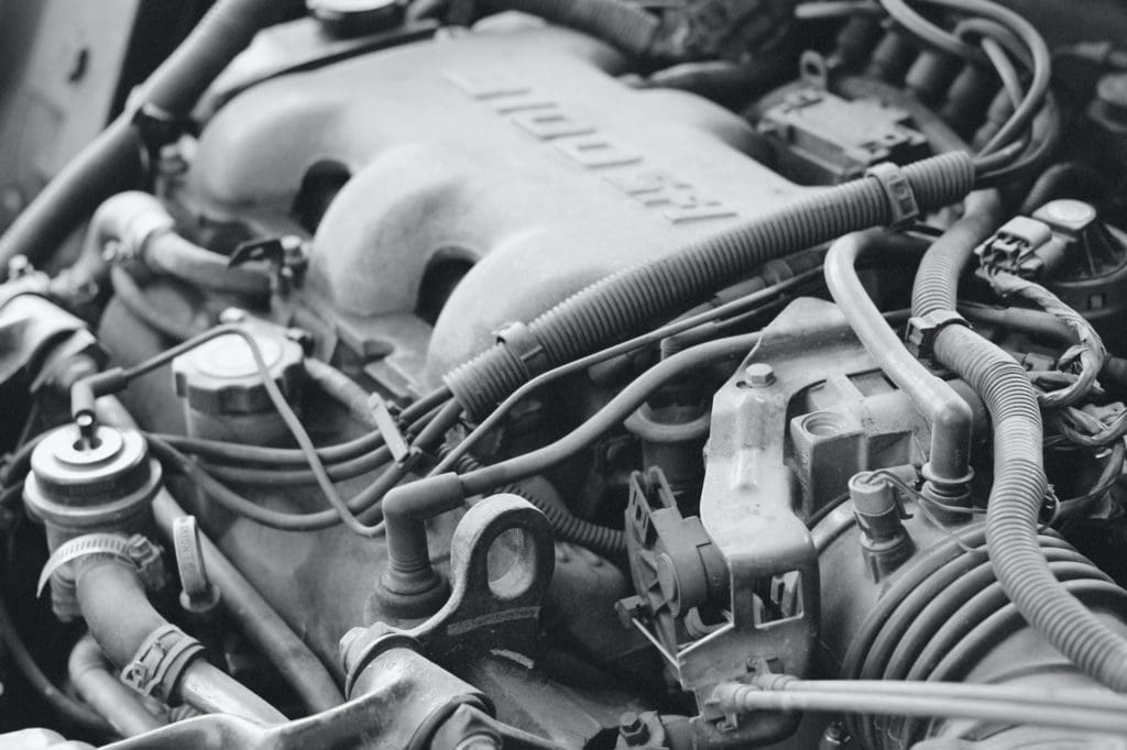 Protecting your vehicle from rodent damage – AA Ireland