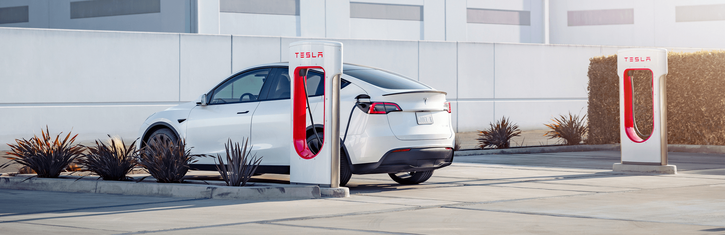 Model Y plugged into the Tesla Supercharger network