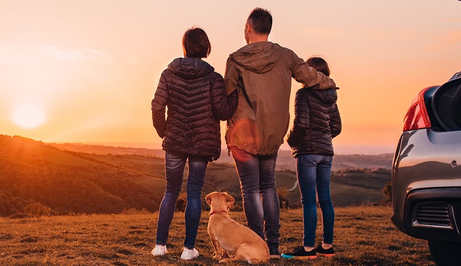 Family watching the sunset