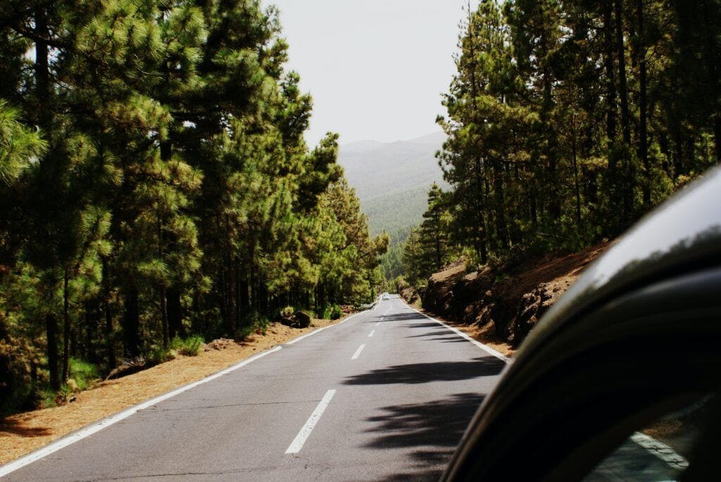 Driving Towards a Greener Future: Our Sustainable Strides